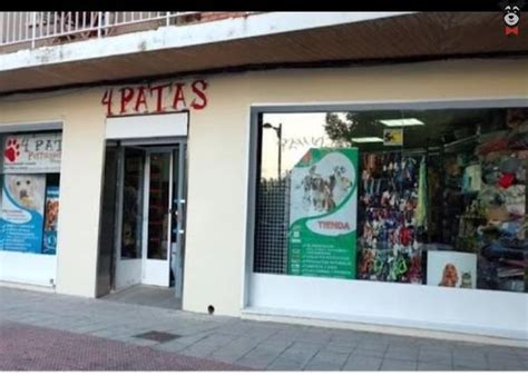 4 patas aranjuez|Perruqueria Cuatro Patas Aranjuez